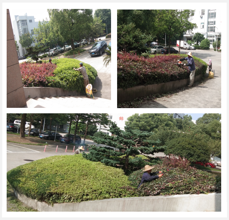 美化绿化，，，，，我们在行动      