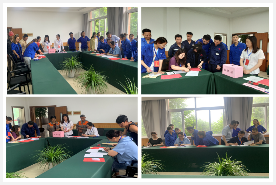 参与选举，，，，，履行公民职责