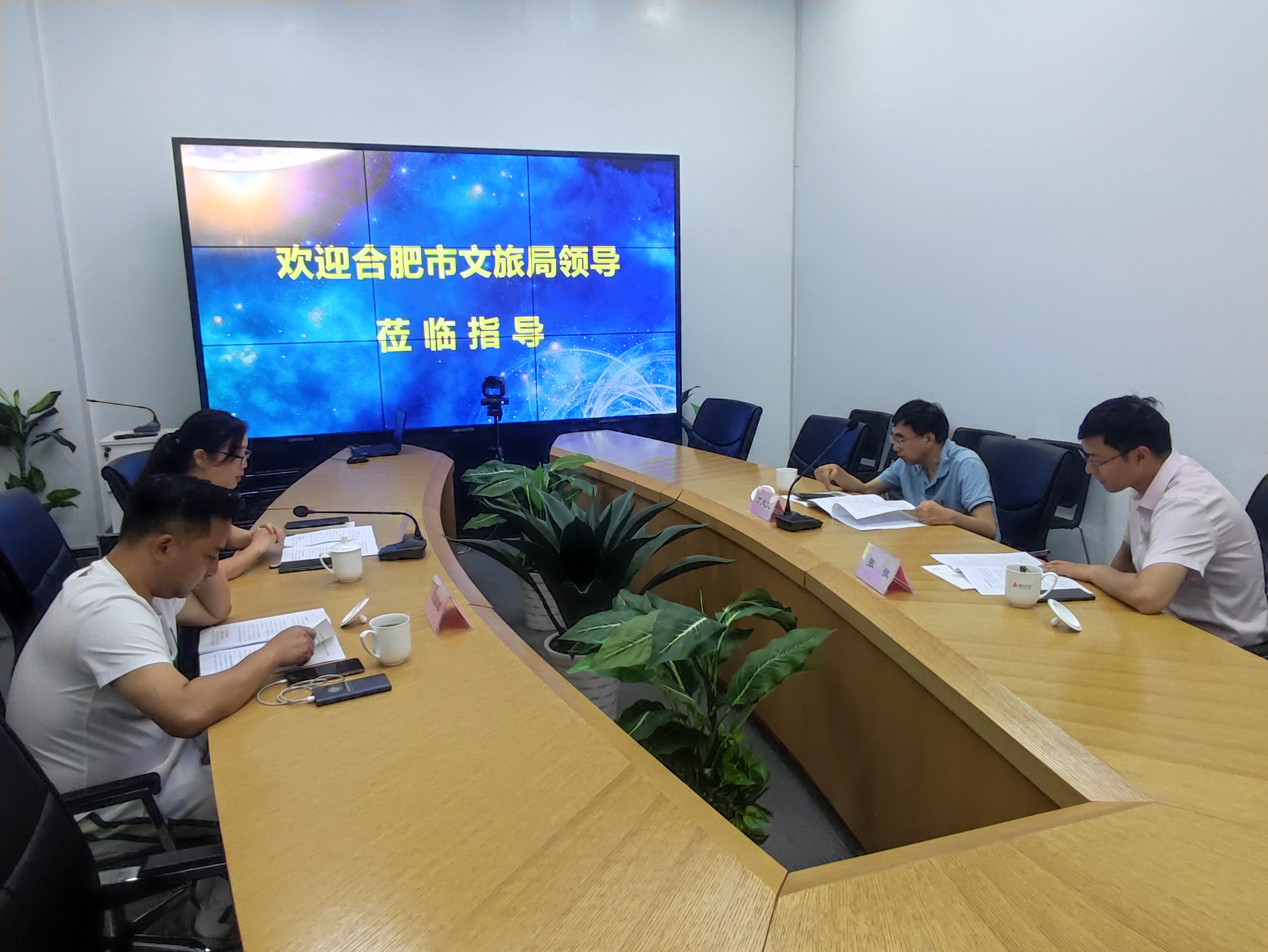 合肥市文化旅游局丁大文处长一行莅临耀世娱乐文创集团调研