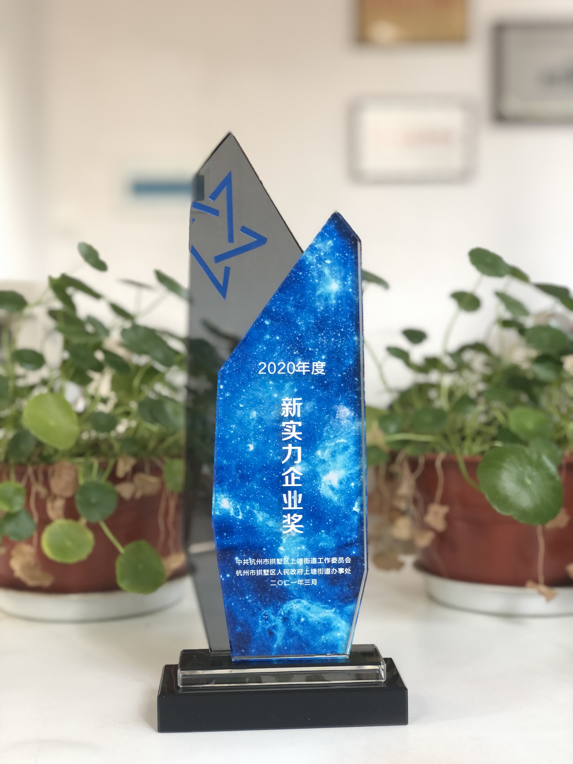 浙江耀世娱乐网络科技有限公司荣获“新实力企业奖”